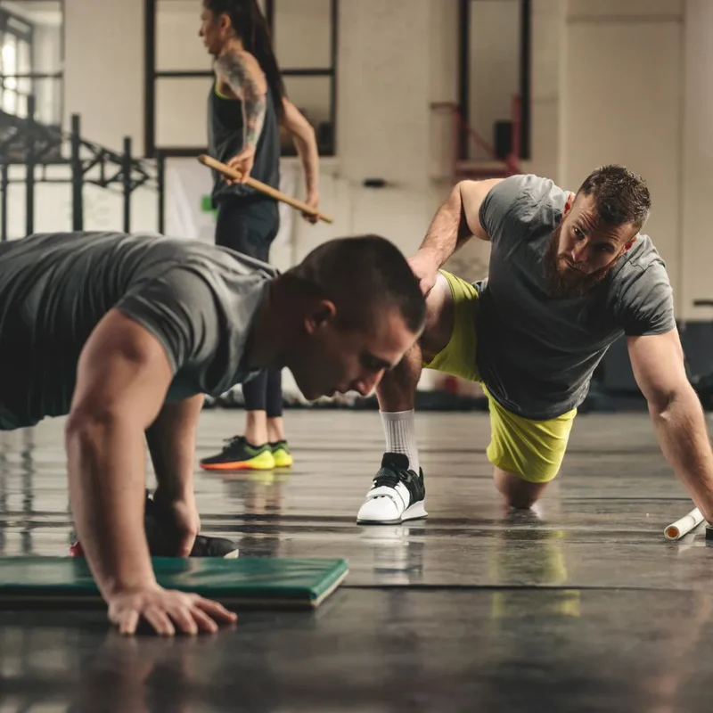 Repair and Regeneration